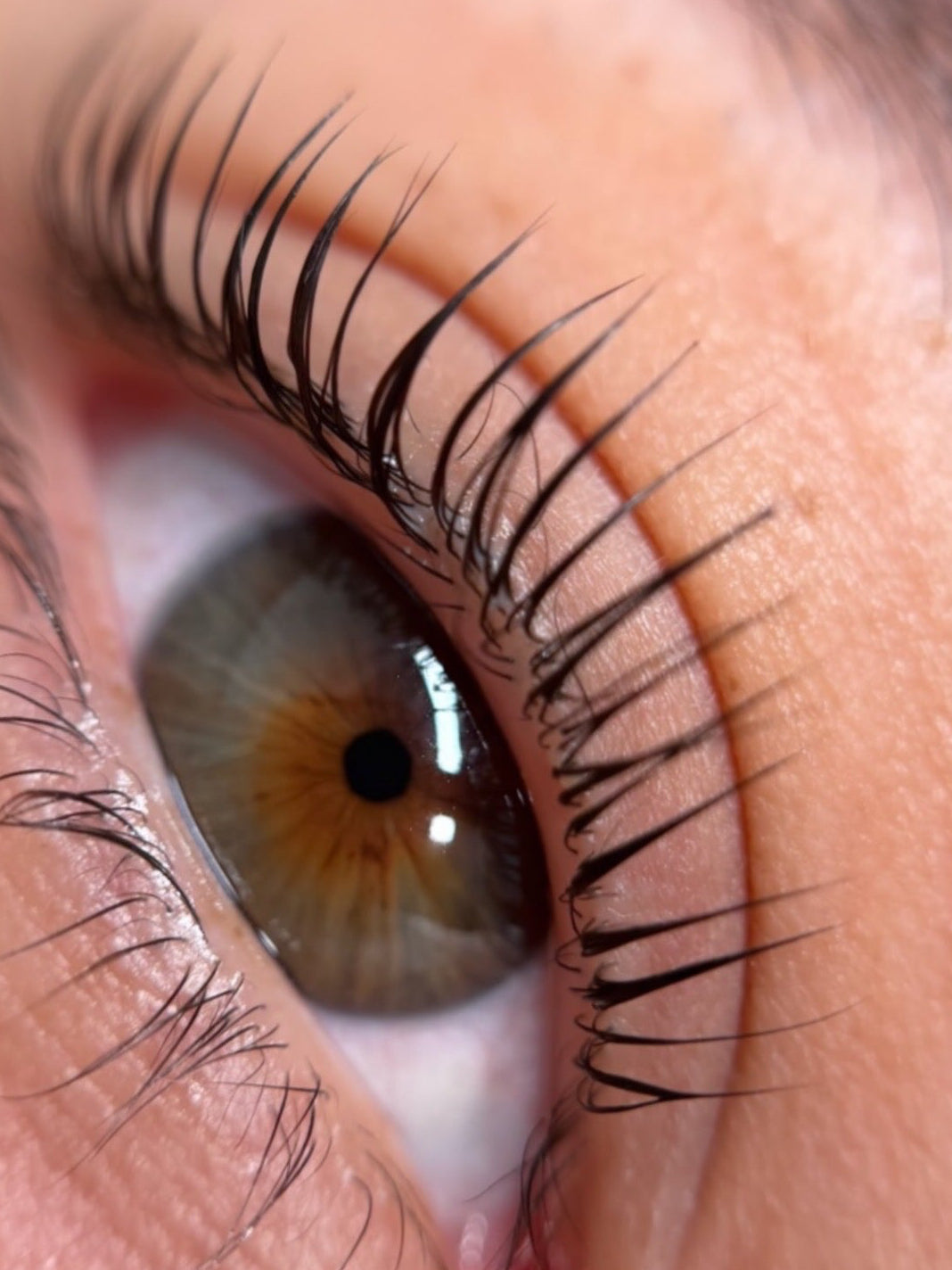 ORG KOREAN LASH LIFT SYSTEM