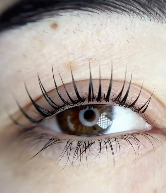 Korean Lash Lift (in person training)